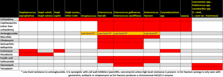 Antibiotic – intrinsic resistance